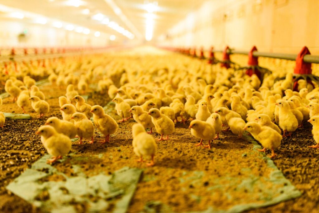 v krjsph32mq0b6rkmrg3qfodp2g7gyqkmpnbfy3ezg8zecglogmpommapqb9qumvl7r6netkoksfrby uqervneerxup0y8lmibm uykdgf2sknl23 q3fti8sptgcow7vzwg7qjktedwrwxwmfokxyrll7twlxwqx1ymvfrwsaowdsx5bvl pp9ggmfwyf